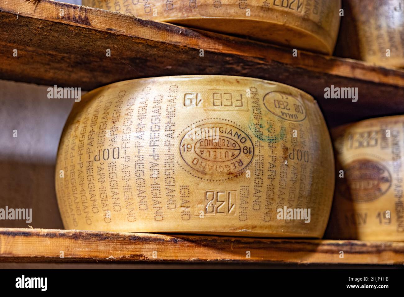 Closeup of a parmesan cheese wheel on a wooden shelf in the warehouse