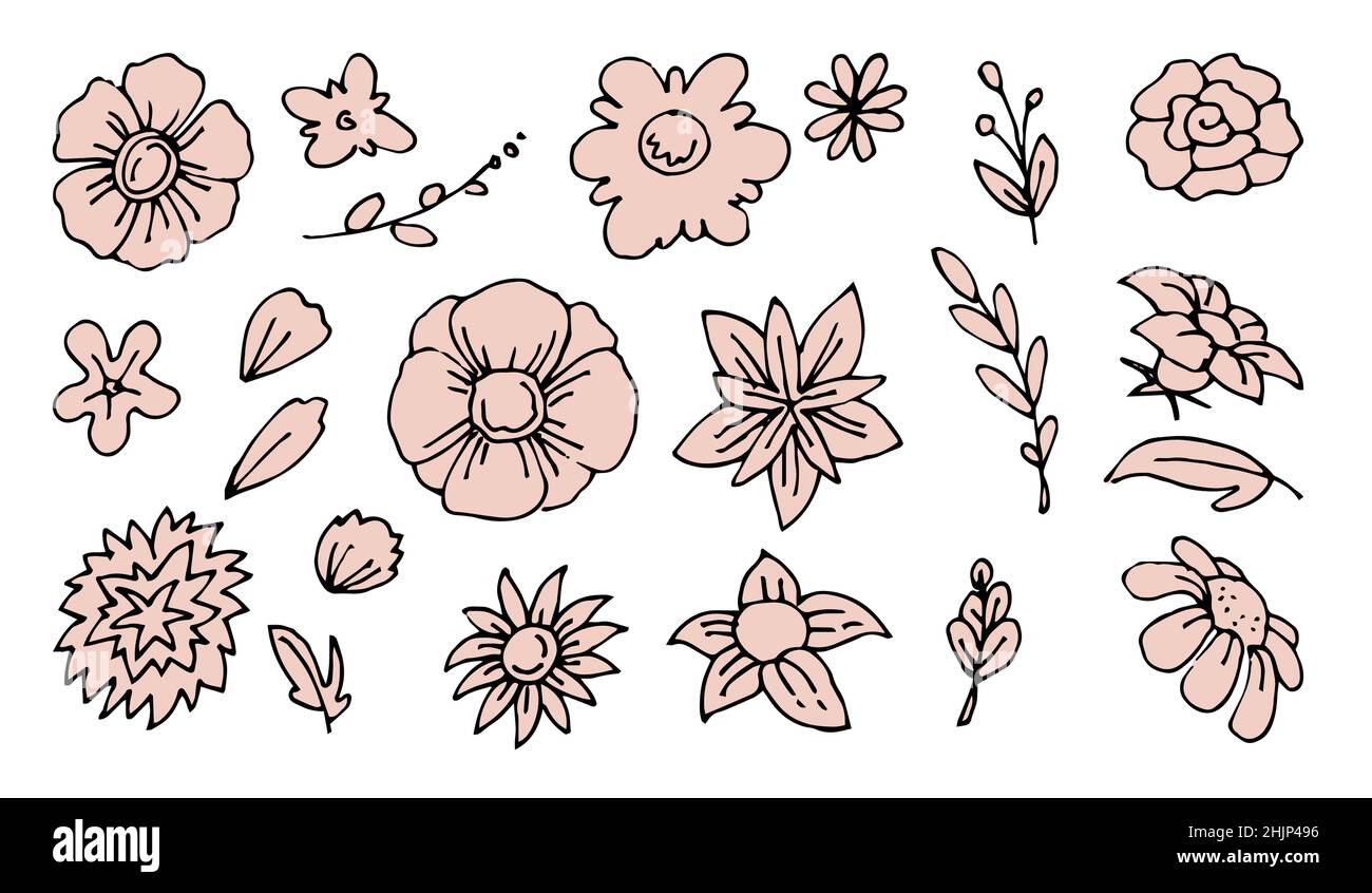 25 Beautiful Flower Drawing Information & Ideas - Brighter Craft |  Beautiful flower drawings, Flower drawing, Tattoos