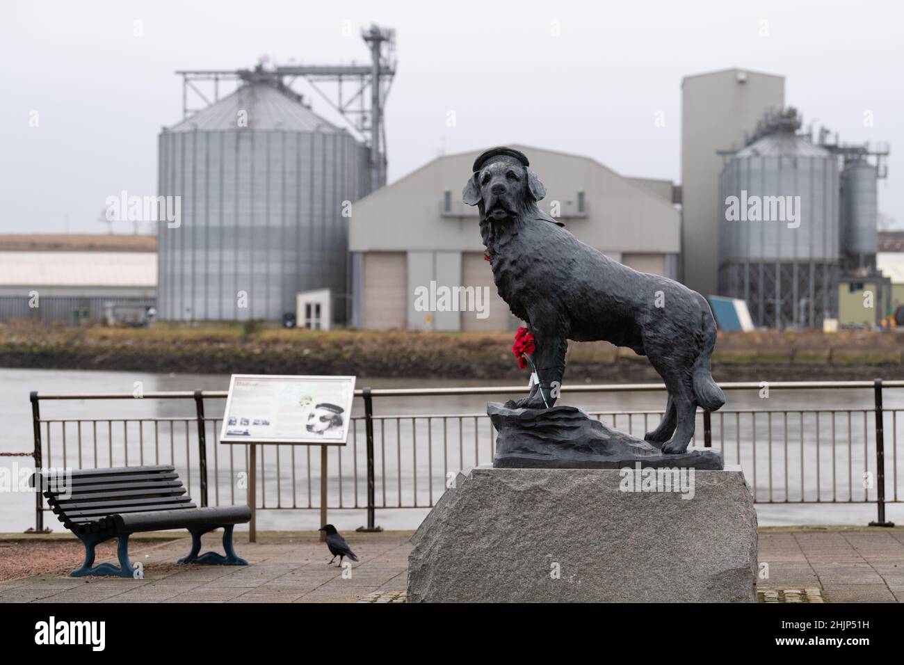 Bamse dog statue - mascot of the Free Norwegian Forces during World War II - Montrose, Scotland, UK Stock Photo