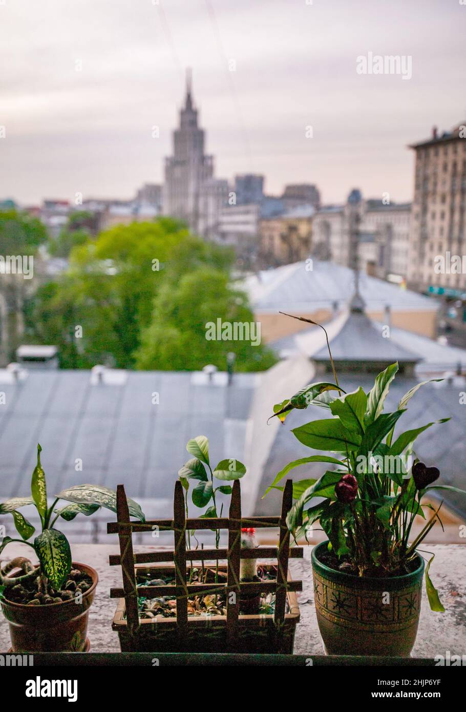 Vertical photo out focus hi res stock photography and images Alamy Vertical photo out focus hi res stock photography and images Alamy