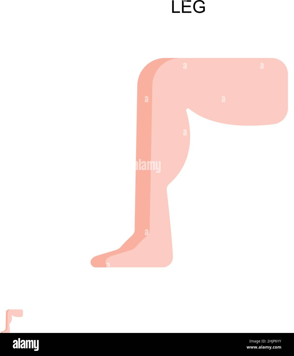 Leg Simple vector icon. Illustration symbol design template for web ...