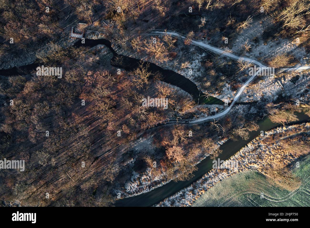 Abstract forest aerial; hi-res stock photography and images - Alamy