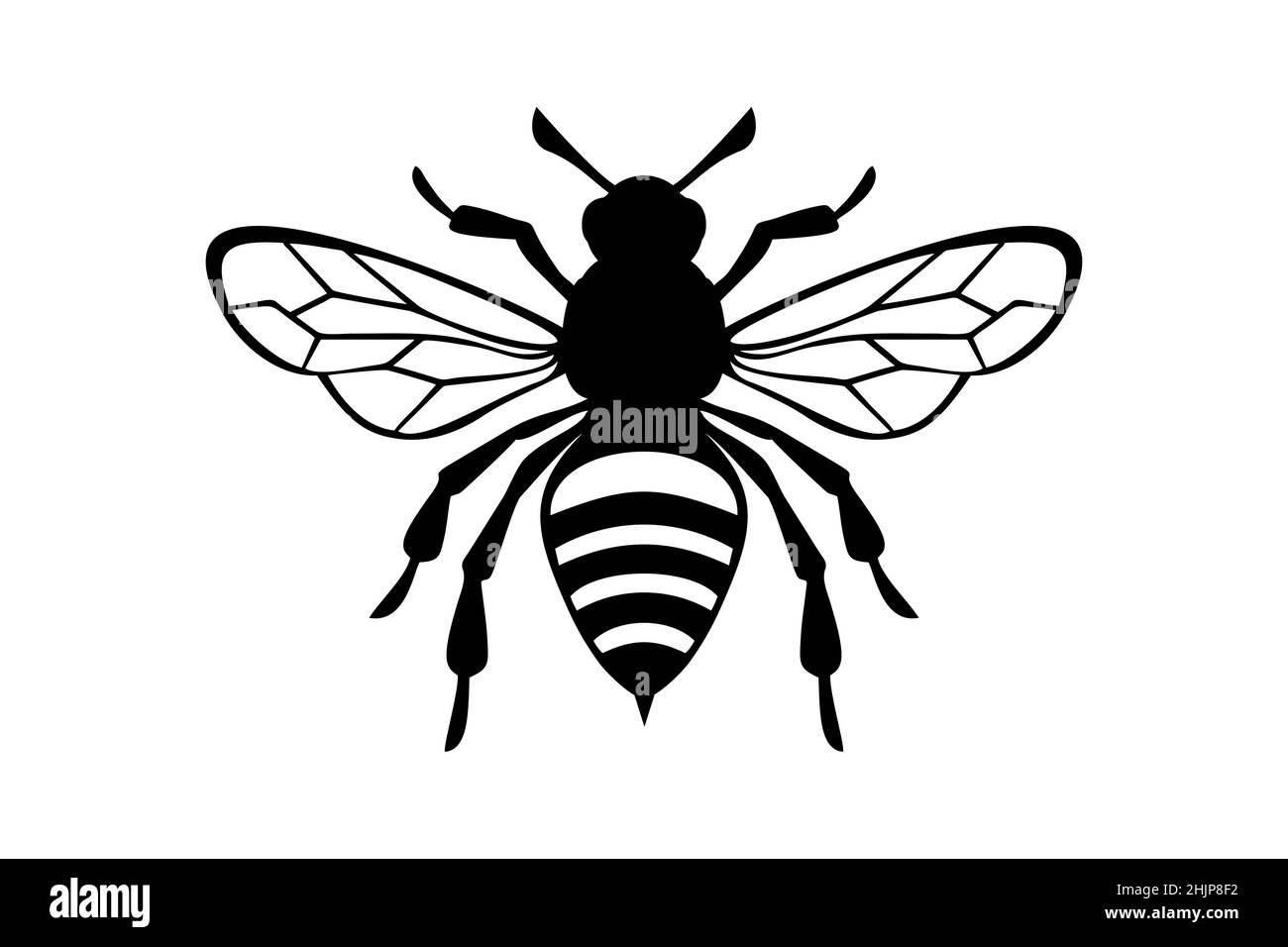 Honey Bee icon, honey bee silhouette on white background Stock Vector ...
