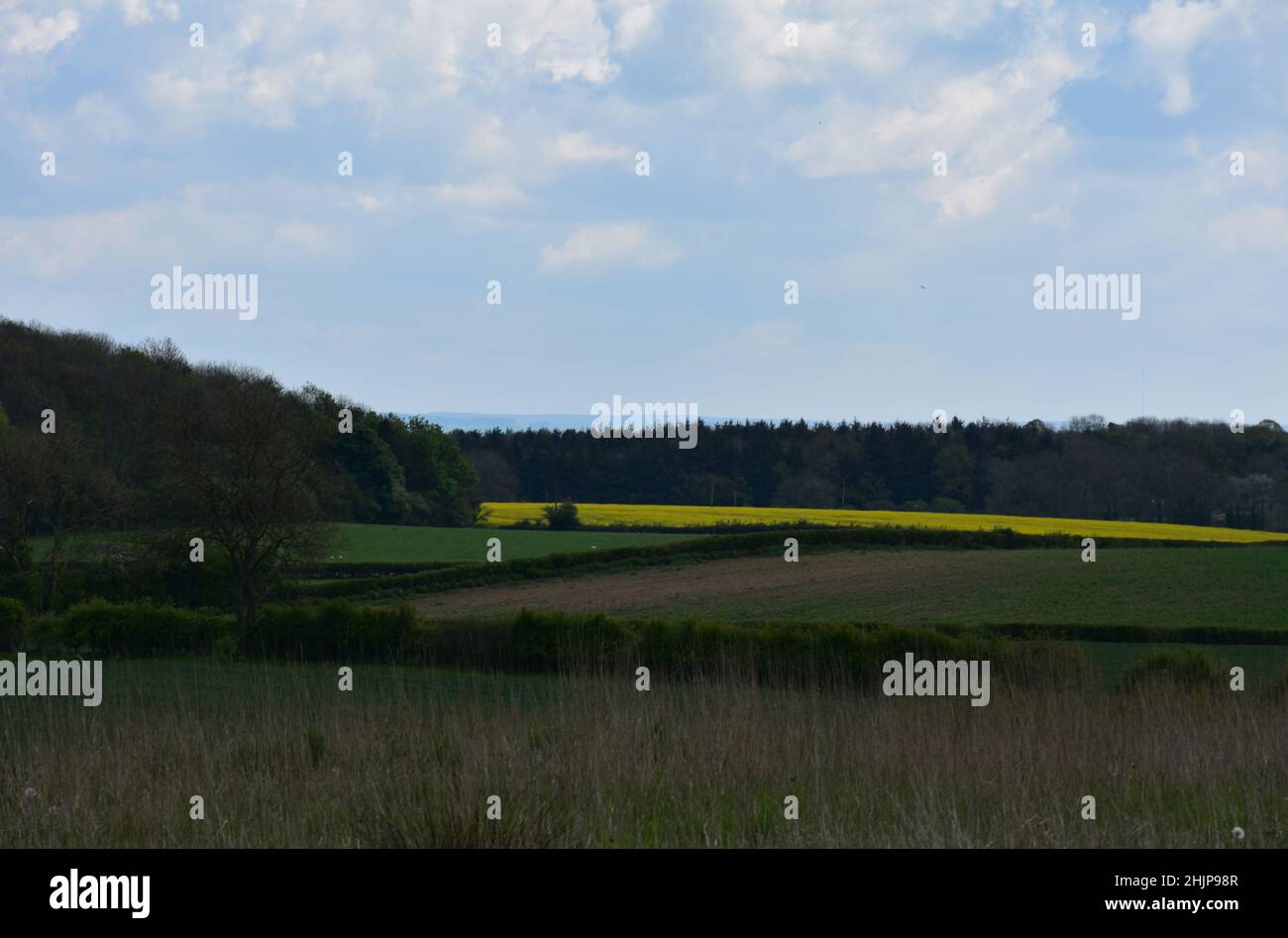 Fields of crops on a spring day in the English countryside Stock Photo ...