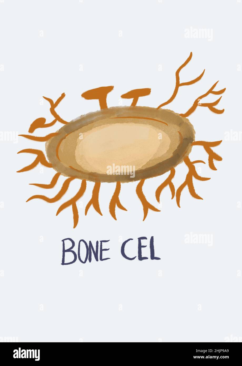Human cell related illustration Stock Photo - Alamy