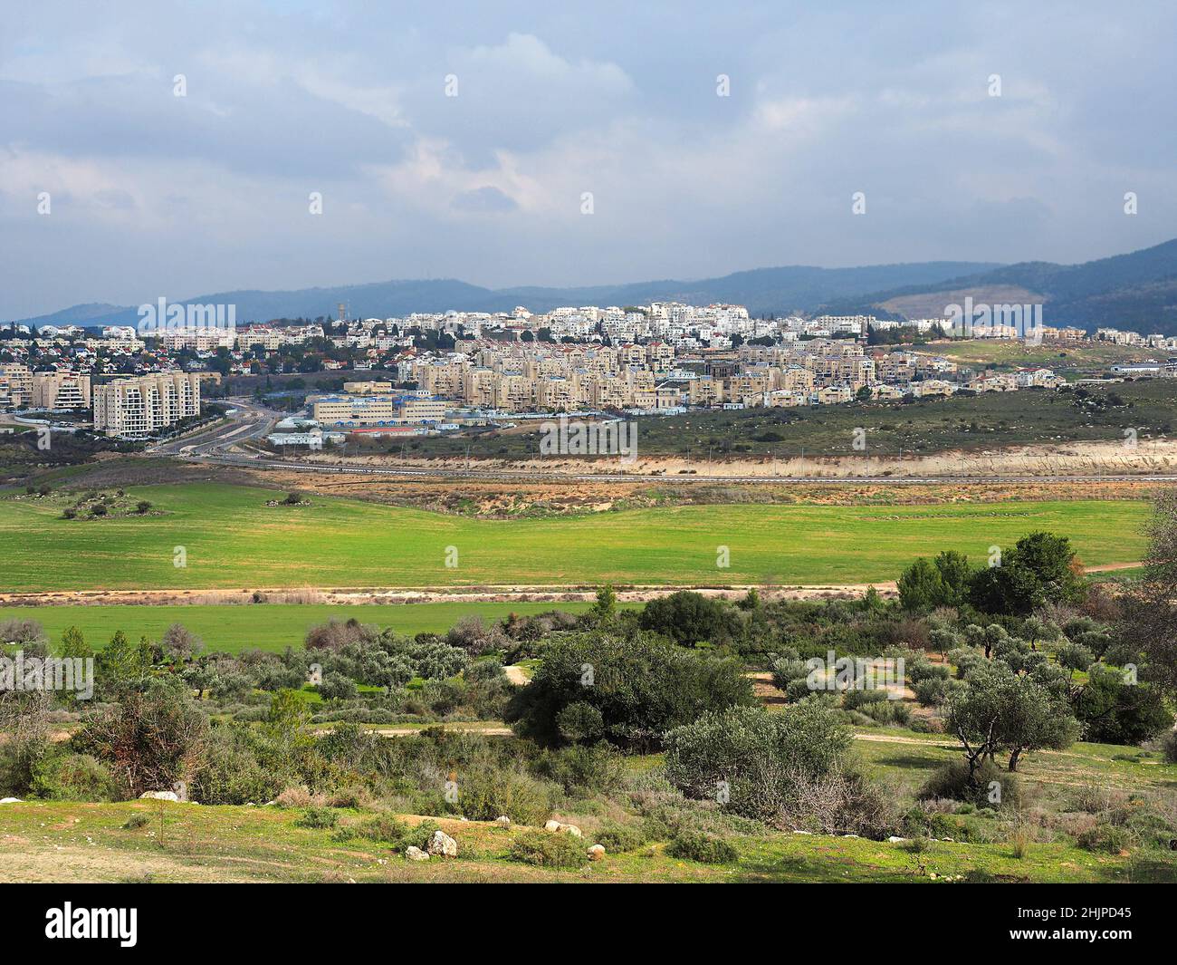 Israeli city of Beit Shemesh, fields, groves and gray sky. Stock Photo
