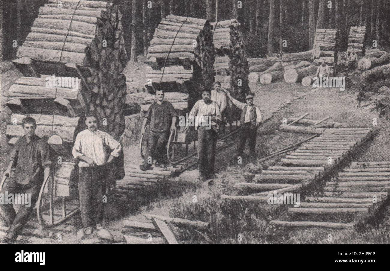 How to Sturdy Lorrainers garner timber from the Vosges. Alsace-Lorraine (1923) Stock Photo