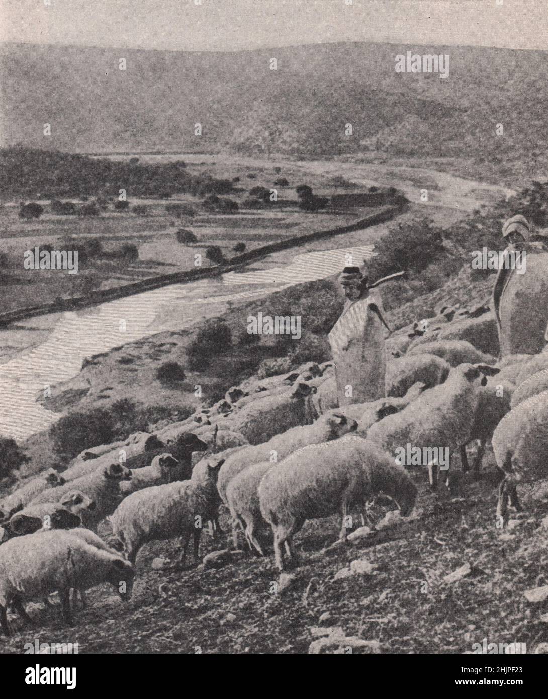 Pastoral scene on the Scamander river of Homeric fame. Turkey. Anatolia