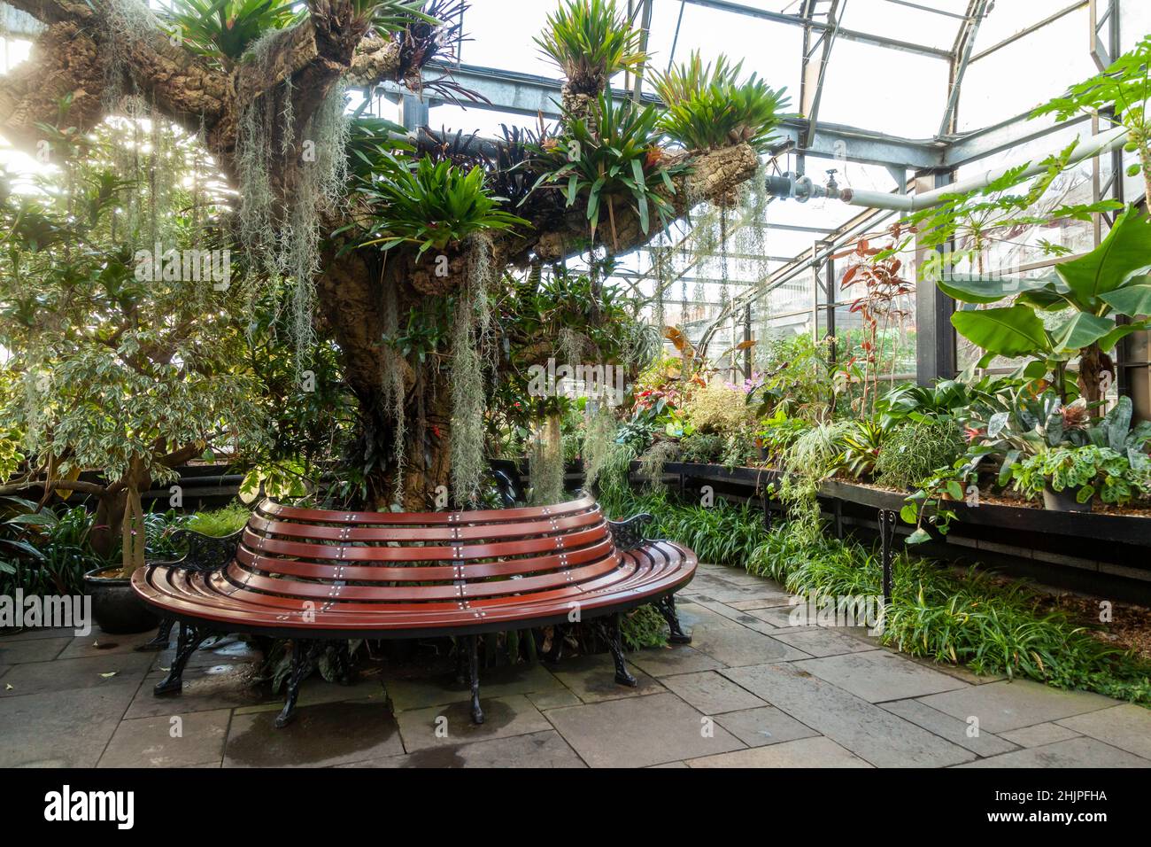 Inverness Botanic Gardens tropical house, Inverness, Scotland Stock