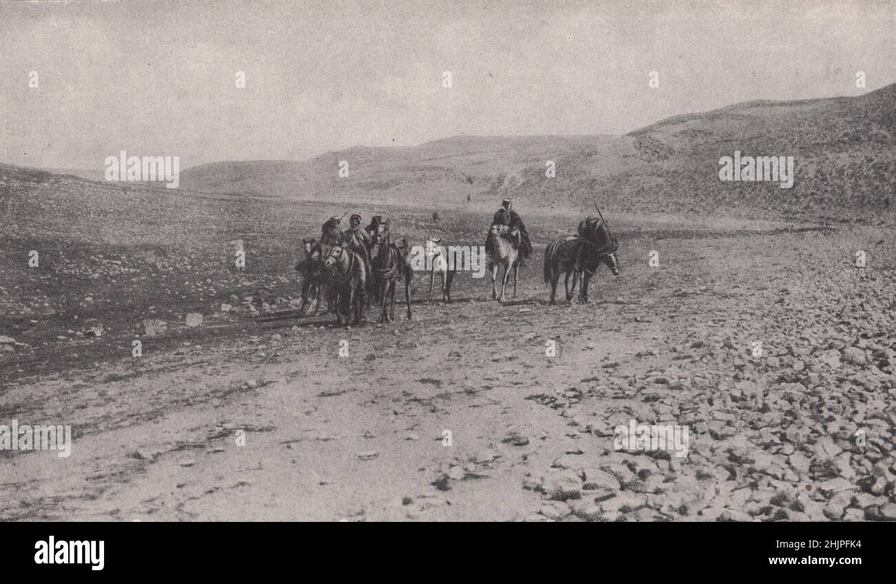 Heavy going for man and beast on the stony road from maan to the Wadi musa. Jordan. Arabia (1923) Stock Photo