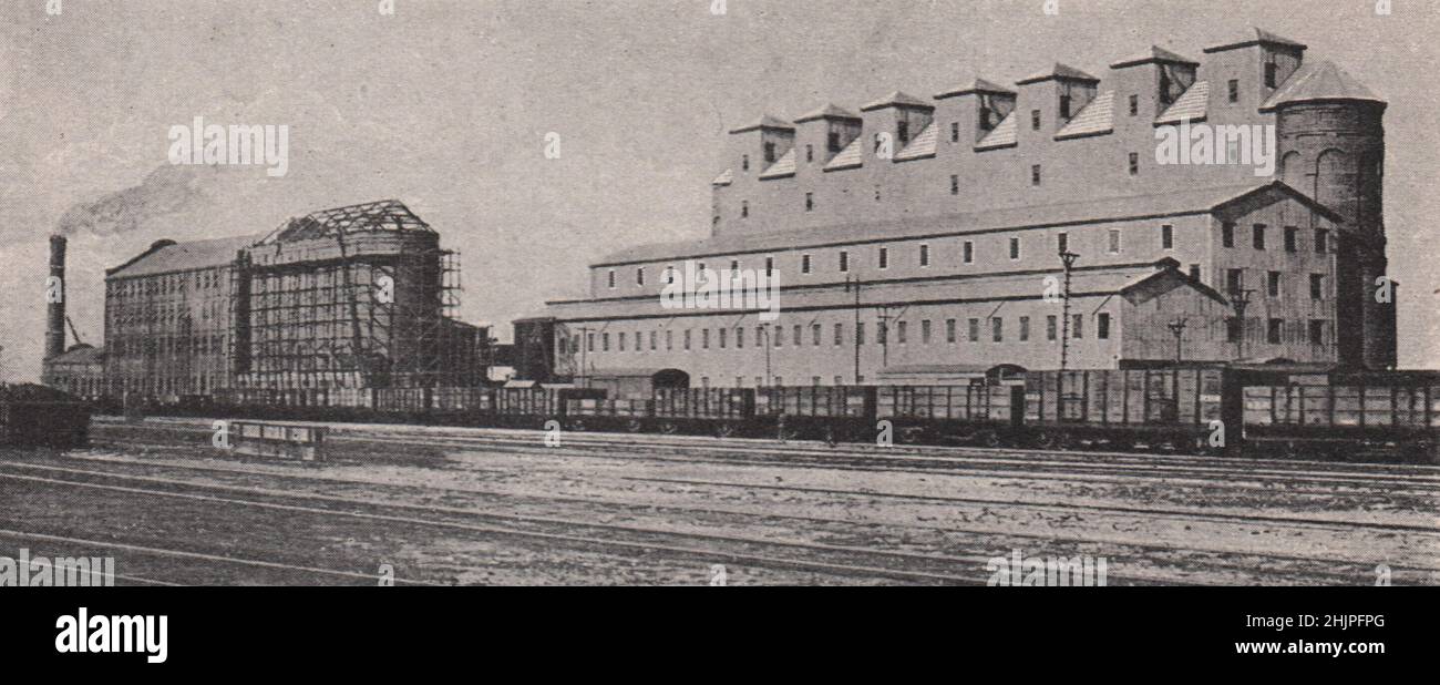 Elevators for grain storage at Puerto Galvan, Bahia Blanca. Argentina (1923) Stock Photo