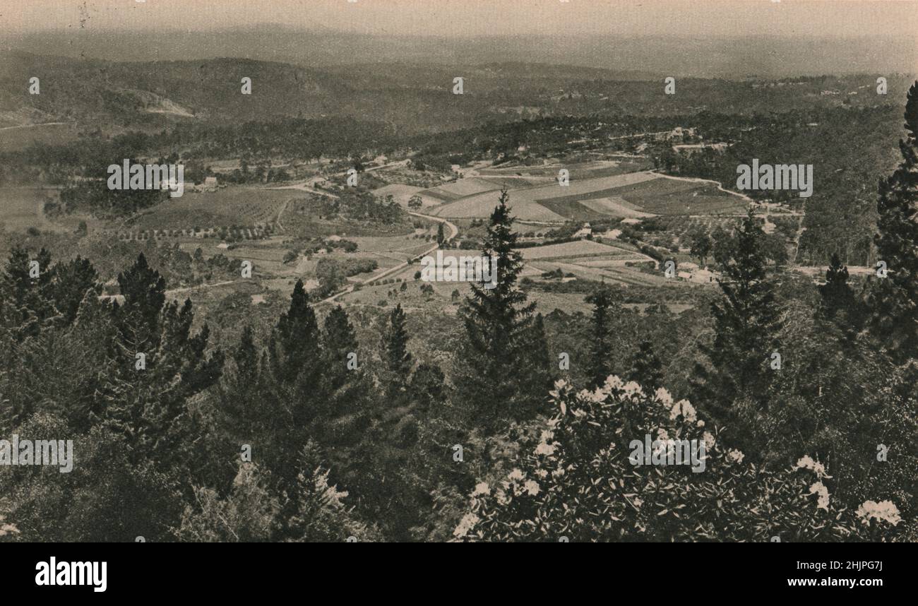The Mount Lofty ranges of the South Australian Highlands (1923 Stock