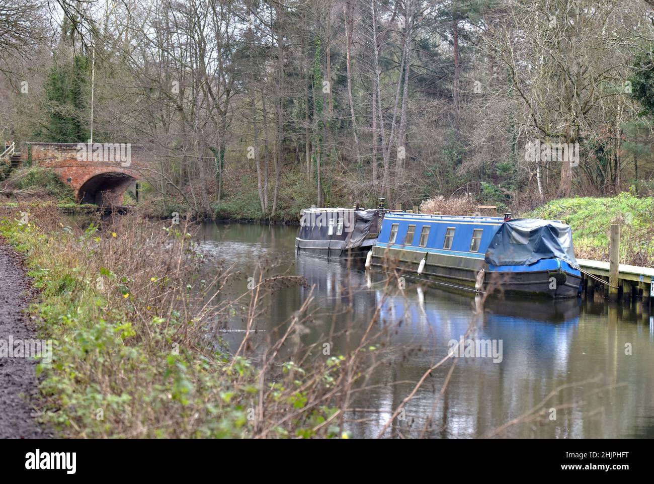 The new moorings alongside the beautiful Basingstoke Canal between