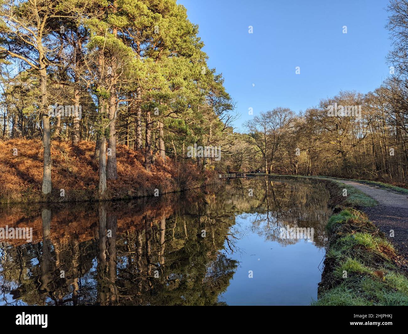 Trees reflected in the beautiful Basingstoke Canal on a bright winter's day between Deepcut and Pirbright in Surrey Stock Photo