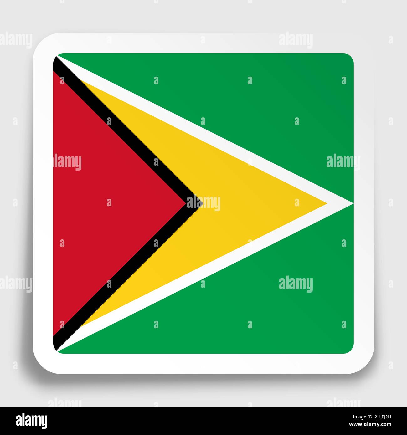 Guyana flag icon on paper square sticker with shadow. Button for mobile application or web. Vector Stock Vector