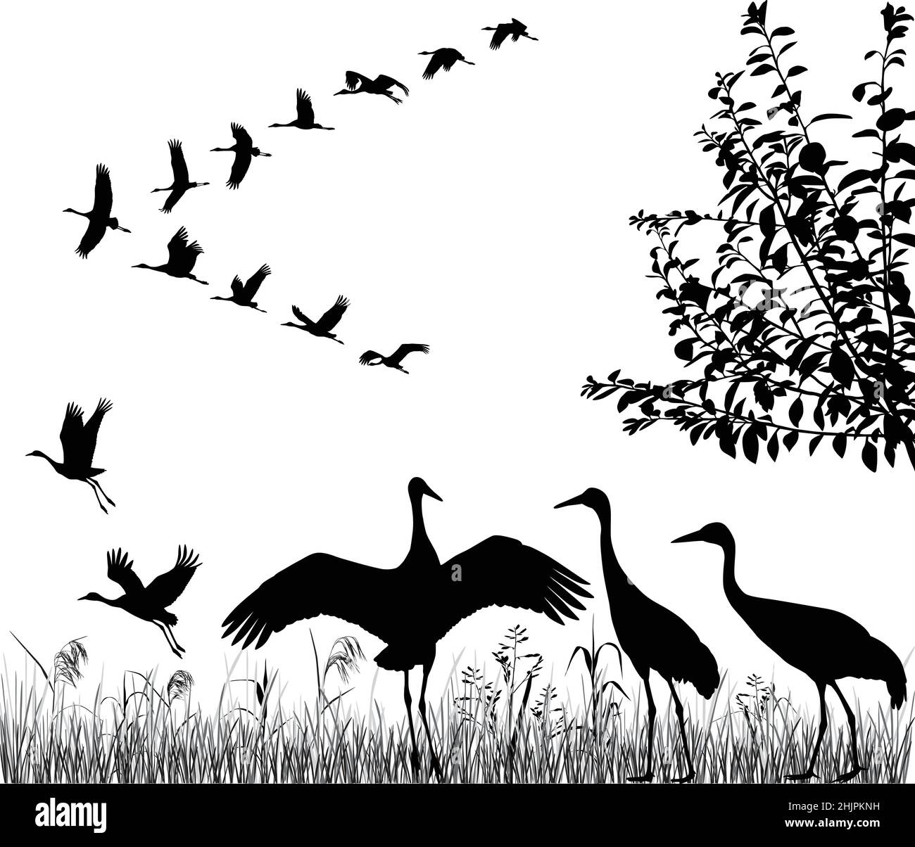 Silhouettes of the flying cranes in flock Stock Vector