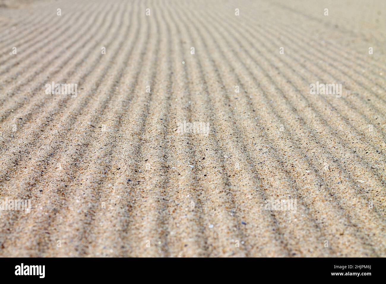 Rippled sand texture for background. Stock Photo