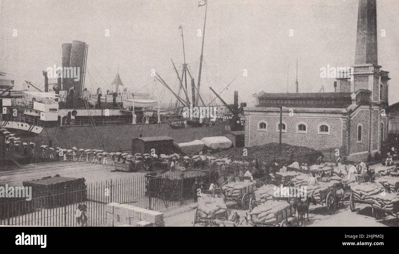 Shipping the produce of the coffee plantations in Sao Paulo state from the Quay of Santos. Brazil (1923) Stock Photo