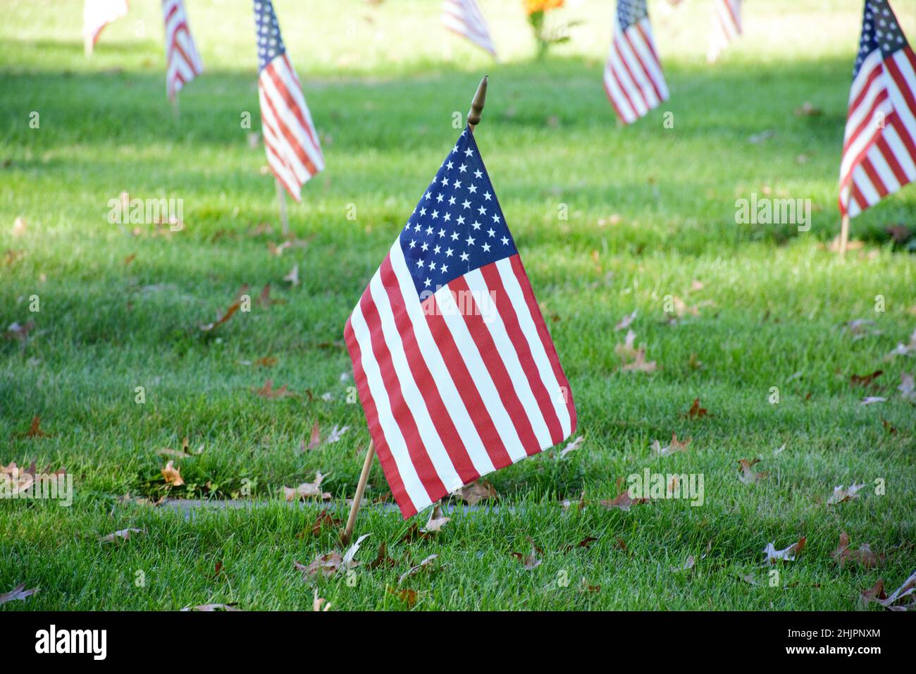 First lady veterans day photo