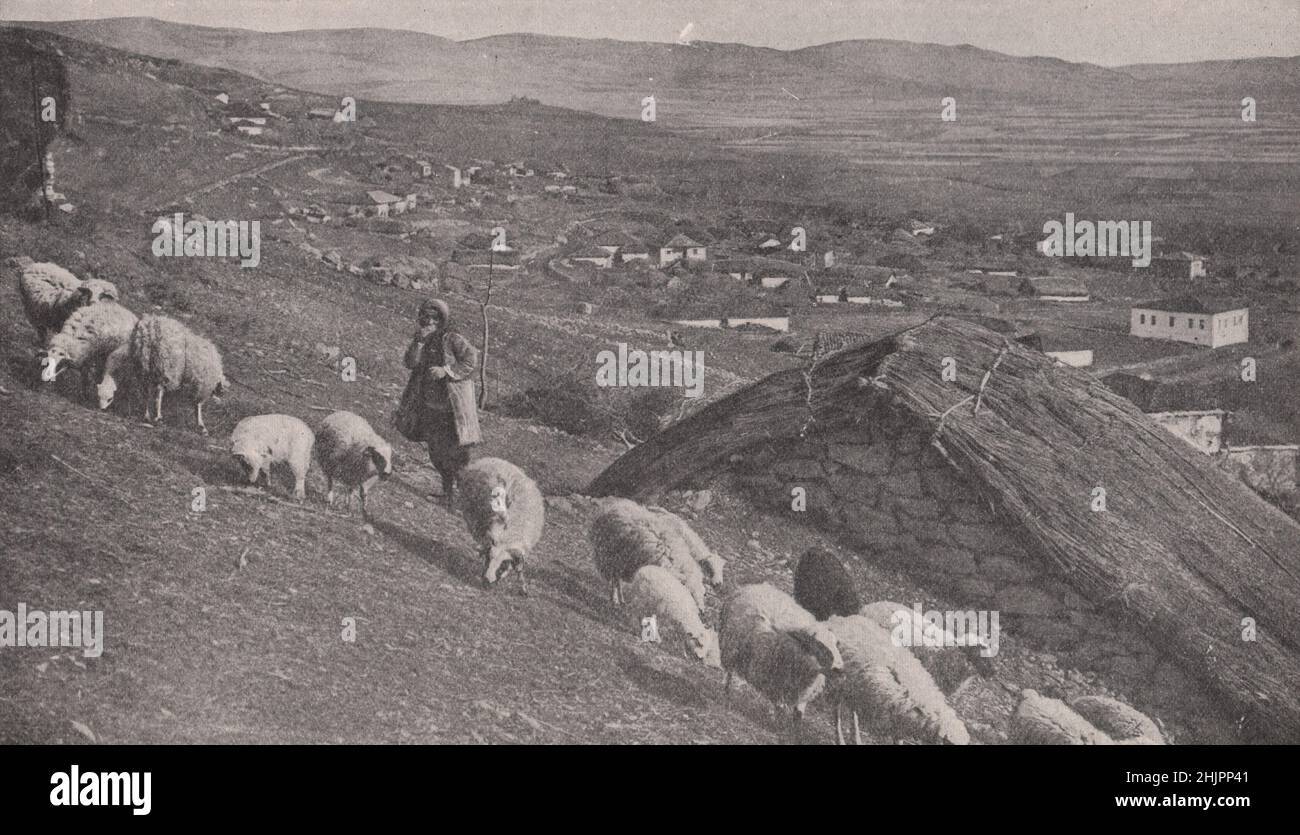 Various branches of husbandry on a characteristic country landscape of Bulgaria (1923) Stock Photo