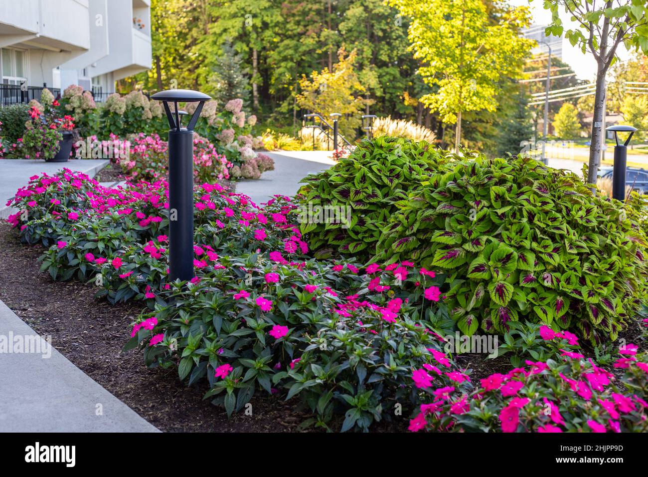 Beautiful plants and flowers in front of residential house in Ottawa, Canada  in summer . Landscape near apartment building Stock Photo - Alamy