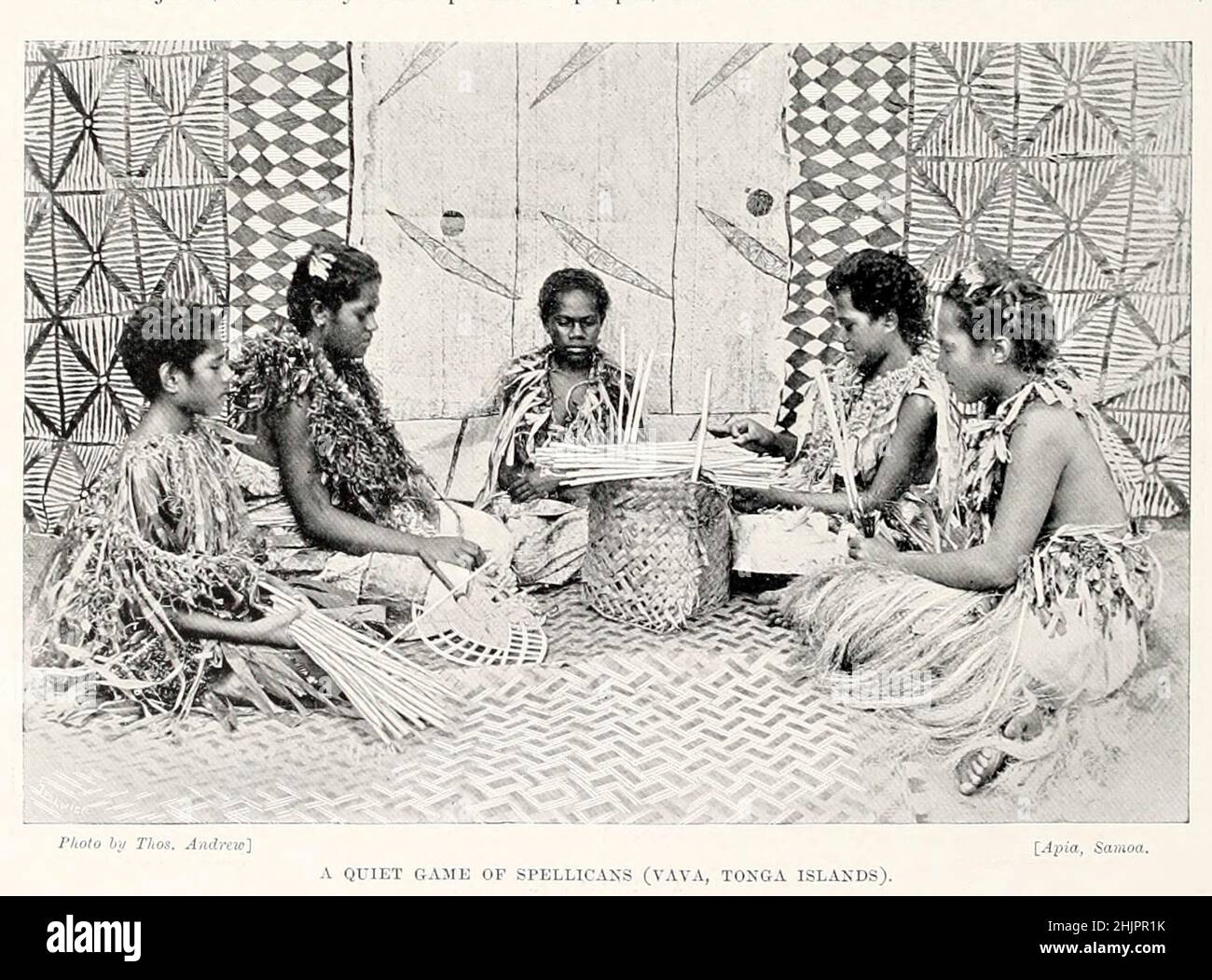 A quiet game of spellicans (Vava, Tonga Islands) [Pick-up sticks, pick-a-stick, jackstraws, jack straws, spillikins, or spellicans is a game of physical and mental skill in which a bundle of sticks, between 8 and 20 centimeters long, is dropped as a loose bunch onto a table top into a random pile. Each player, in turn, tries to remove a stick from the pile without disturbing any of the others. The object of the game is to pick up the most sticks or to score the most points based on the color of the sticks]. from the book '  The living races of mankind ' Vol 1 by Henry Neville Hutchinson,, edit Stock Photo