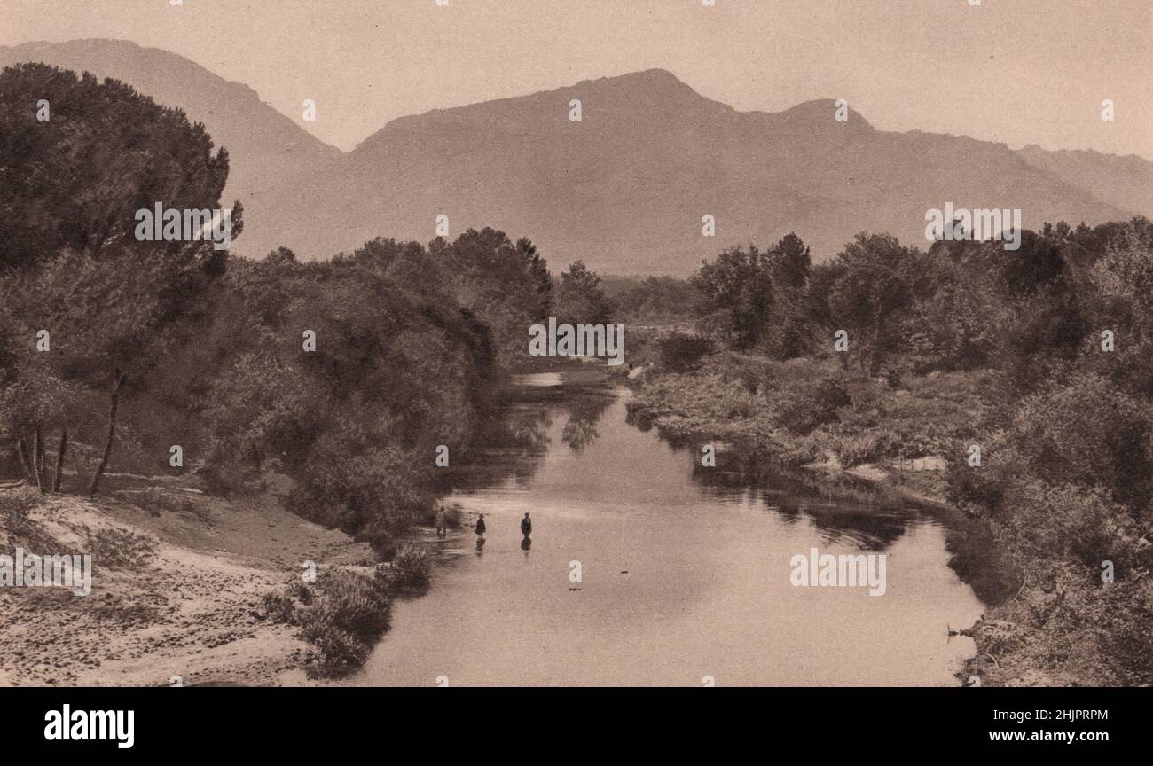 Flowing between the vine-clad slopes of the Paarl mountains & the Drakenstein range, the river Berg near Paarl. South Africa (1923) Stock Photo
