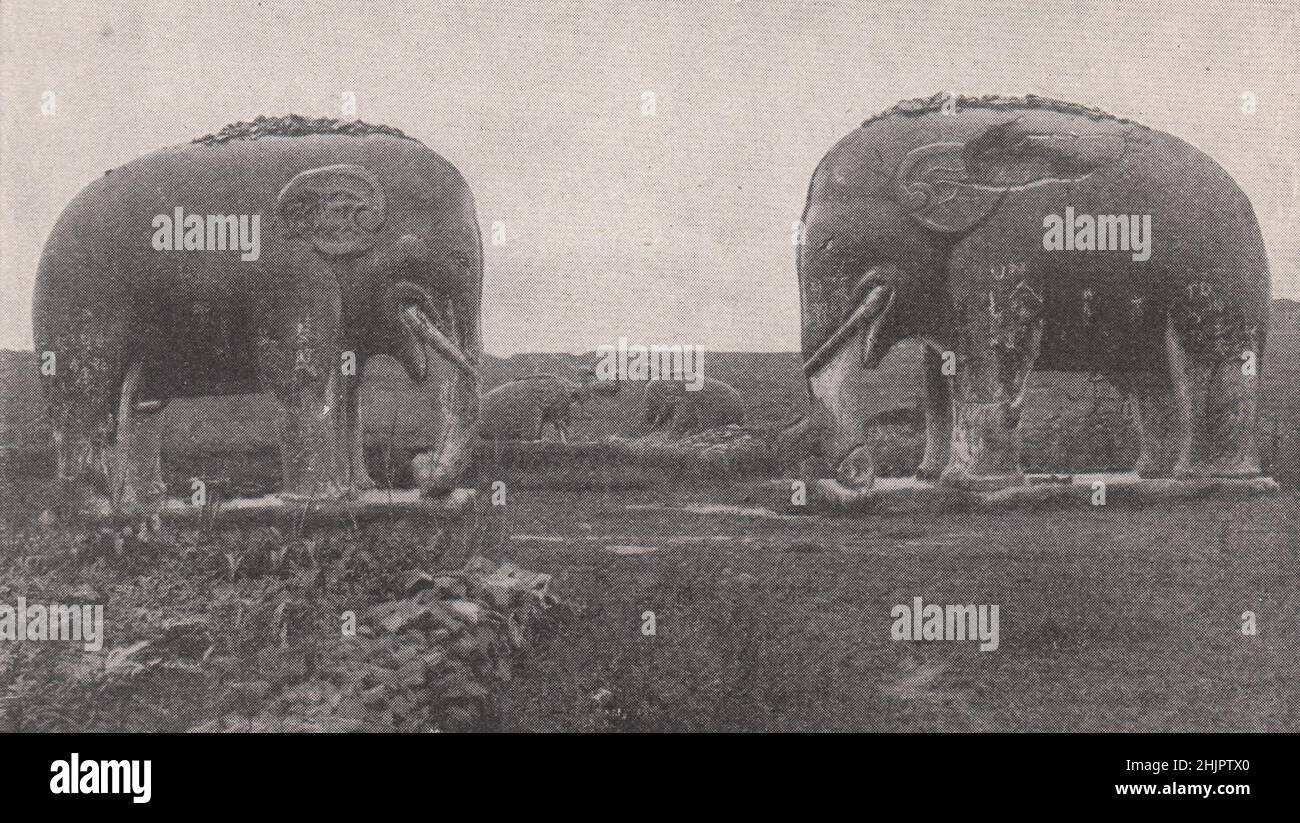 Avenue of Elephants and Camels leading to the ming Tombs. China (1923) Stock Photo