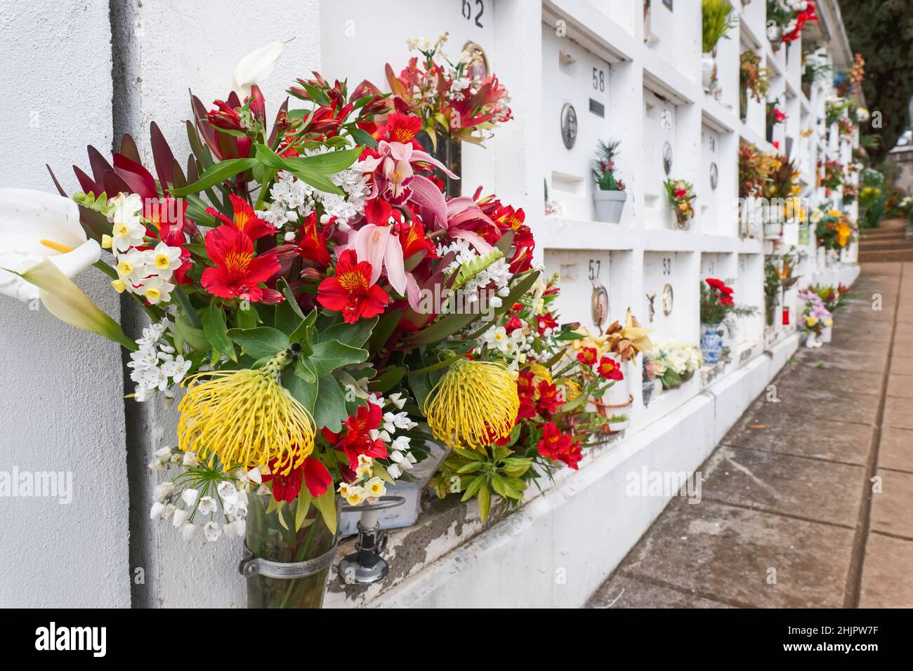 Flowers on Wall Chests in the Cemetery in Monte Funchal Madeira Stock Photo