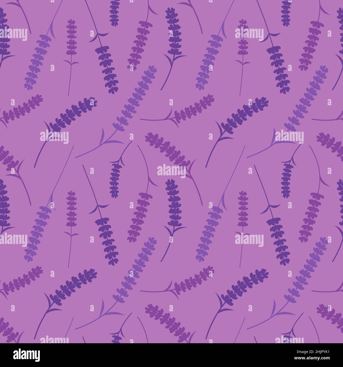 Floral seamless pattern. Lavender flowers silhouette. Vector purple ...