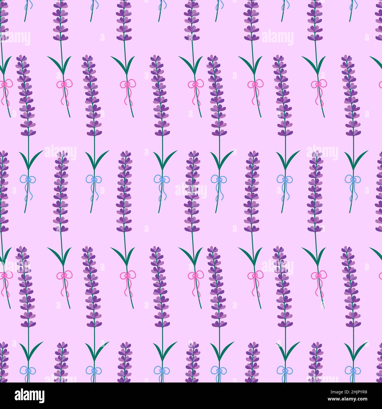 Lavender flowers seamless pattern. Vector pink background with isolated ...