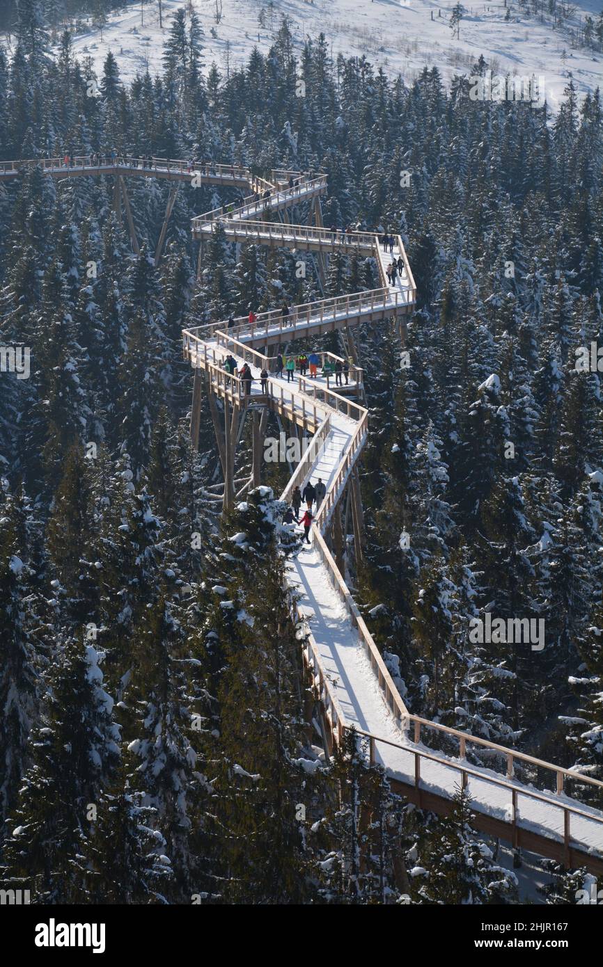 The treetop walk Bachledka in Bachledova valley in Slovakia. Scenic wooden  bridge over trees Stock Photo - Alamy