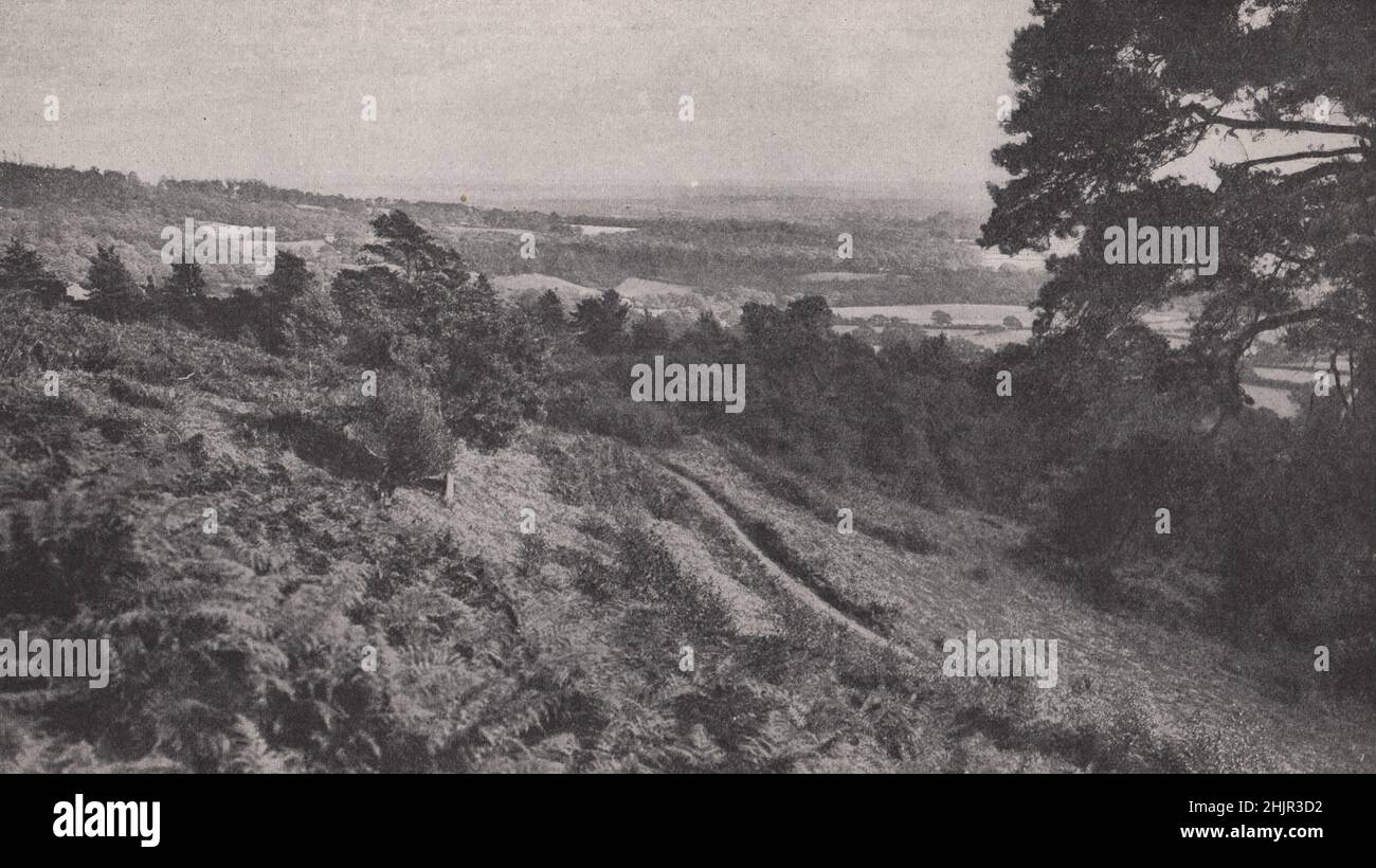 Holmbury hill, one of the delightful places in a country rich in scenic beauty. Surrey. England (1923) Stock Photo