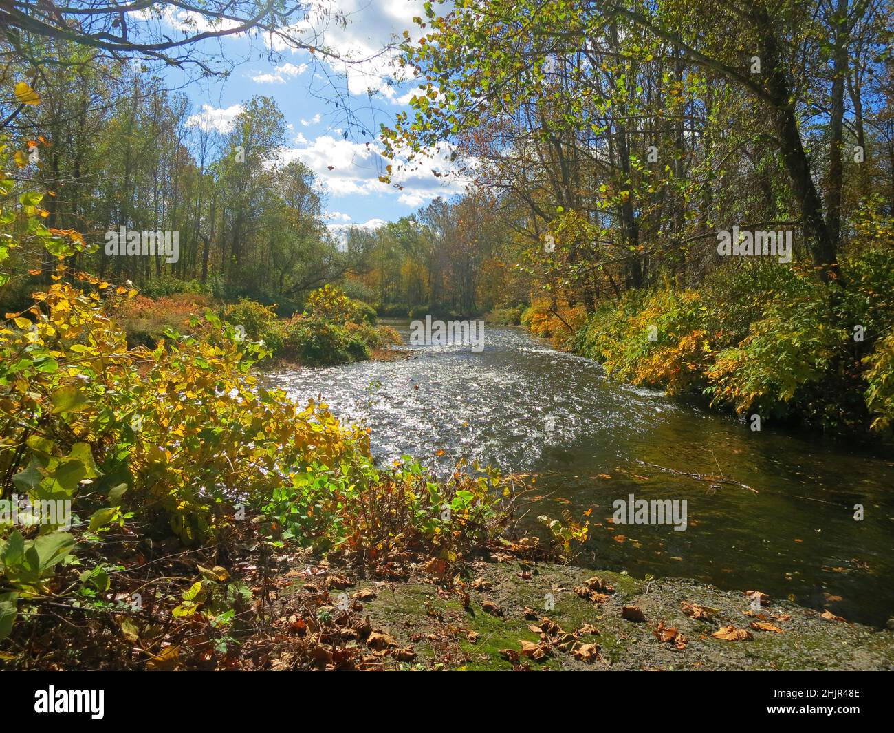 Brodhead Creek, in the fall, is a 21.9milelong tributary of the