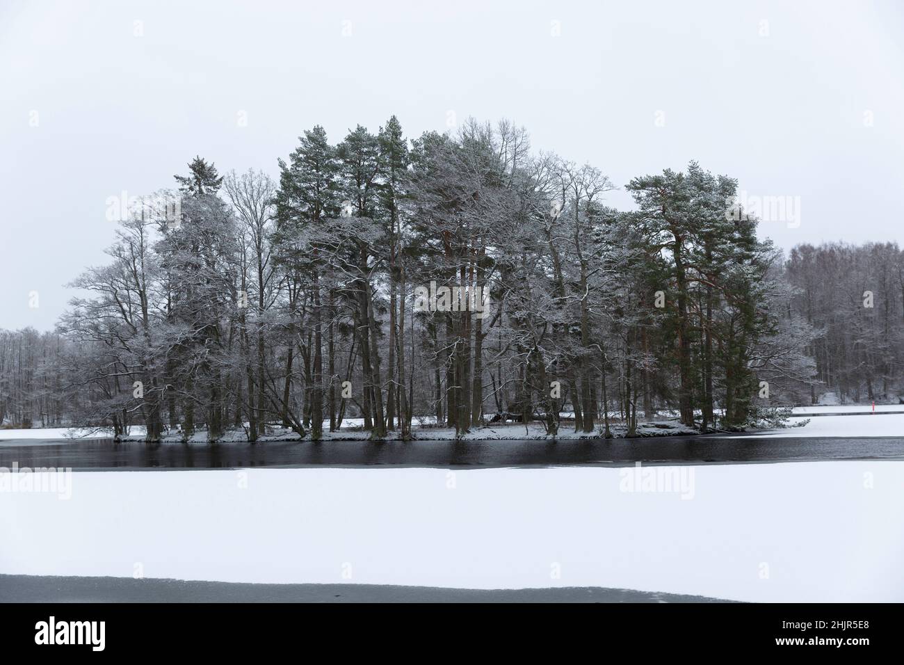 A small island in a lake in winter Stock Photo