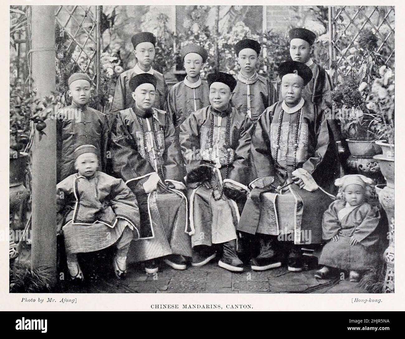 Chinese mandarins. [A member of an elite intellectual or cultural group ...