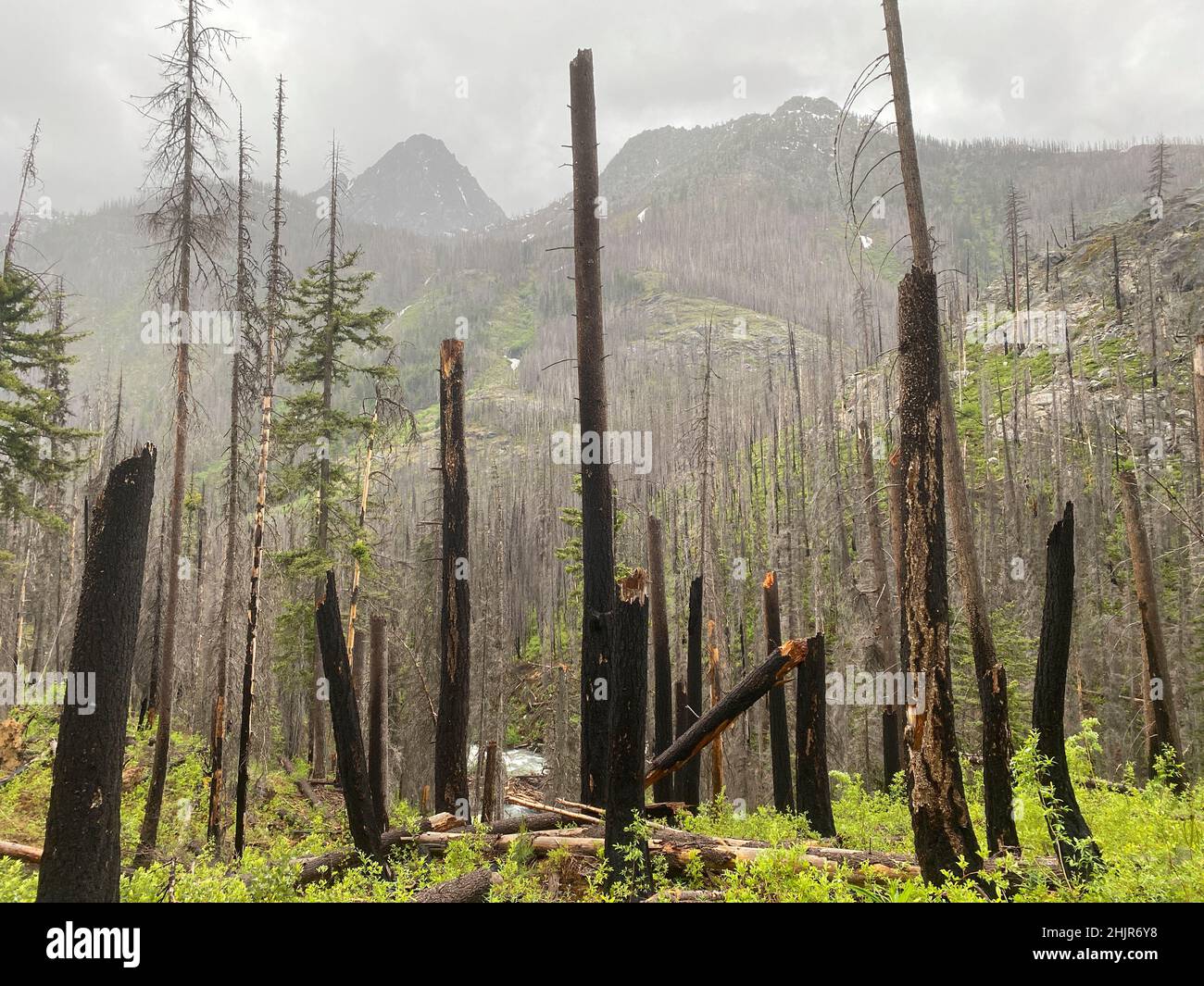 Entiat valley hi-res stock photography and images - Alamy