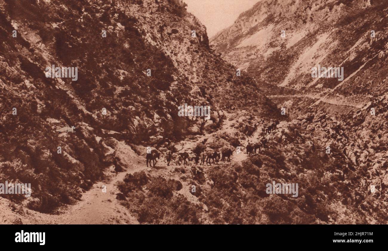 The track through the Langada Gorge leads up & down hill. Greece (1923) Stock Photo