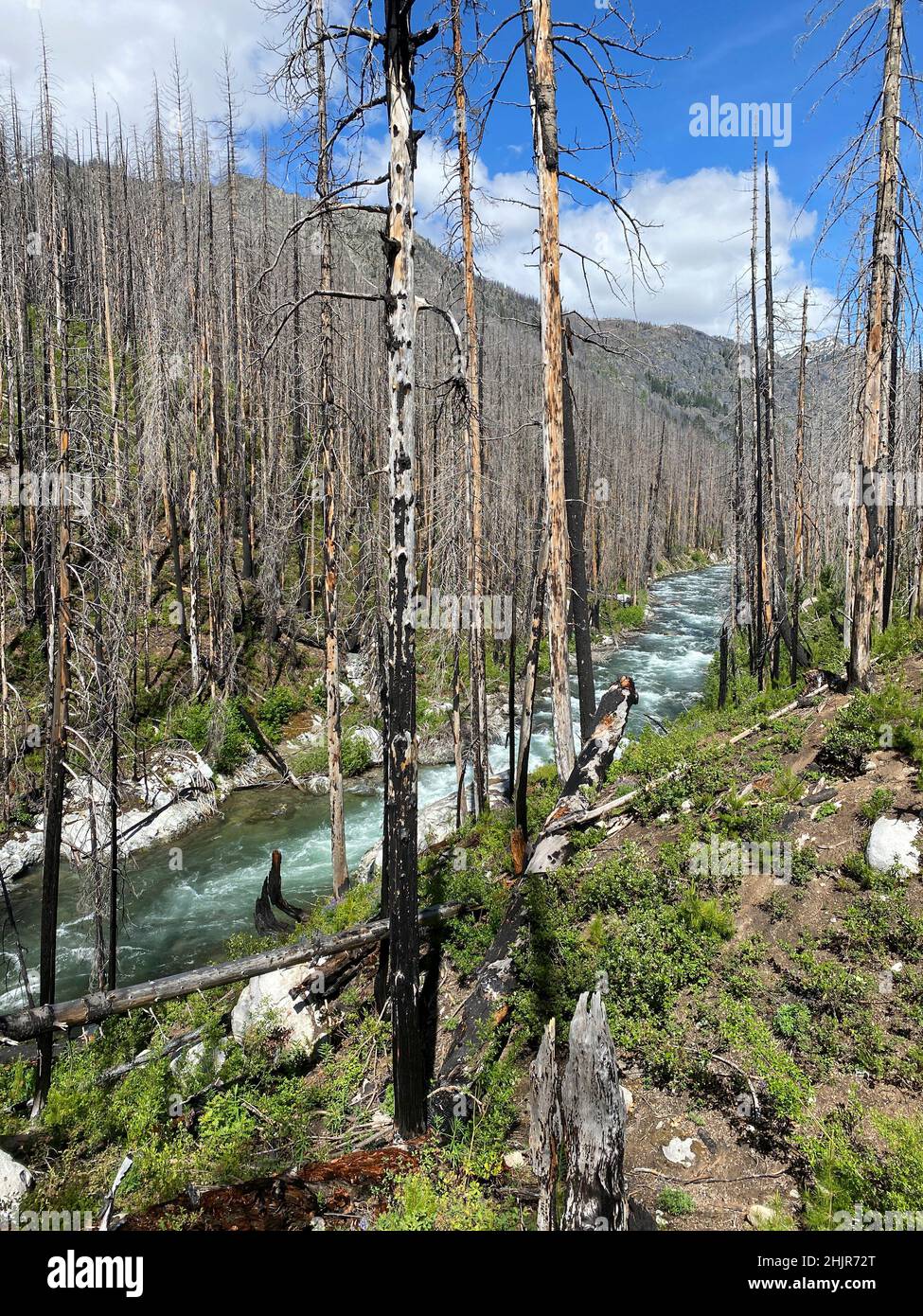 Entiat river trail hi-res stock photography and images - Alamy