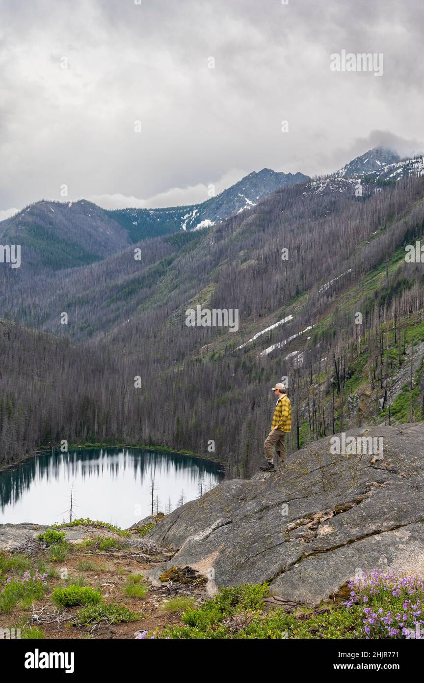 Male stands on a ledge above an alpine lake surrounded by burned trees Stock Photo