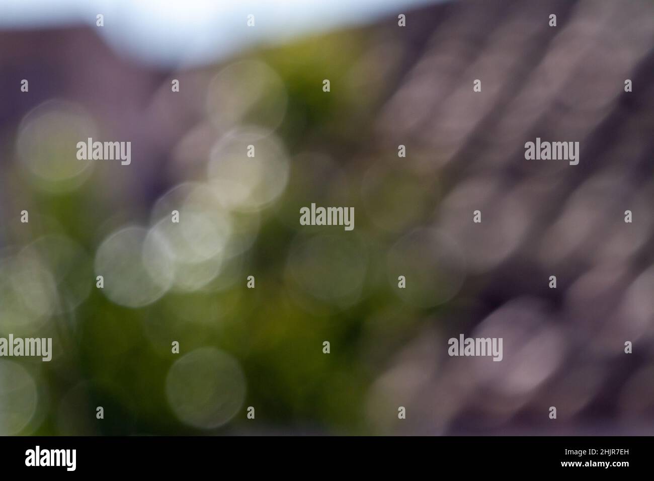 Abstract background blur obtained from leaves of trees in the field. Green and gray bokeh in daylight. Stock Photo
