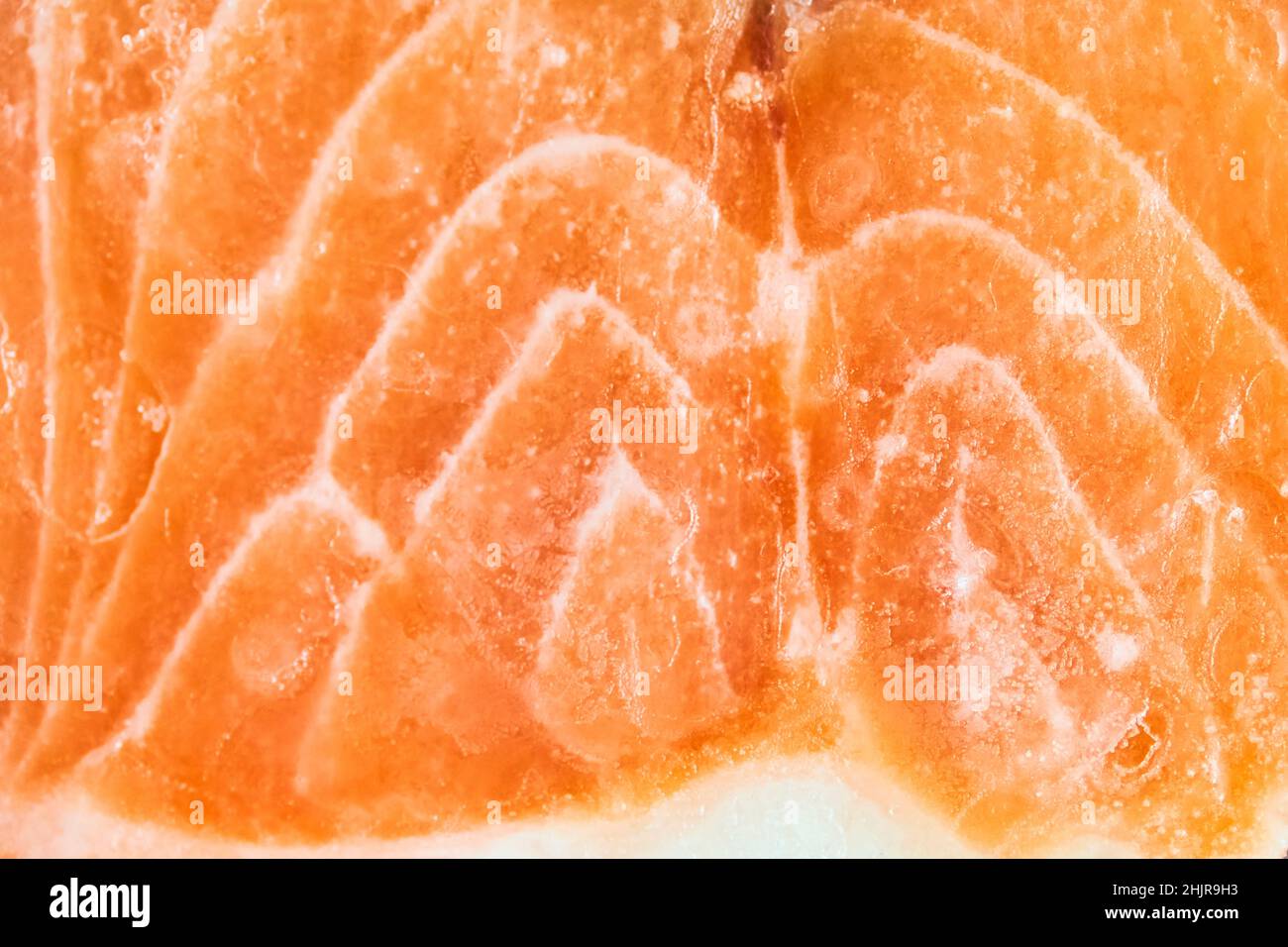 Close-up of pink salmon fillet with space to copy. A piece of frozen salmon fillet. High quality photo Stock Photo