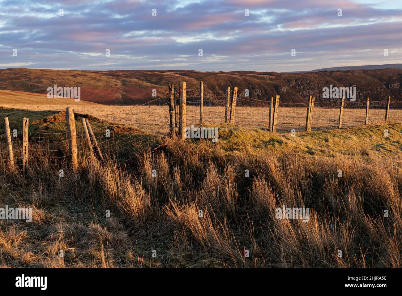 Livestock fence in the Cambrian mountains, Wales Stock Photo - Alamy