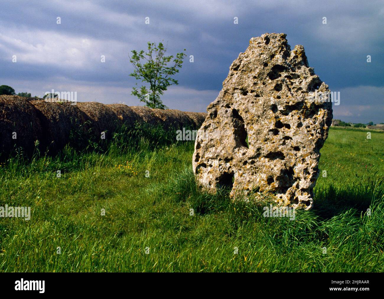 View NNE of the Long Stone standing stone, Minchinhampton, Gloucestershire, England, UK. A naturally holed slab of local oolitic limestone 2.1m high. Stock Photo