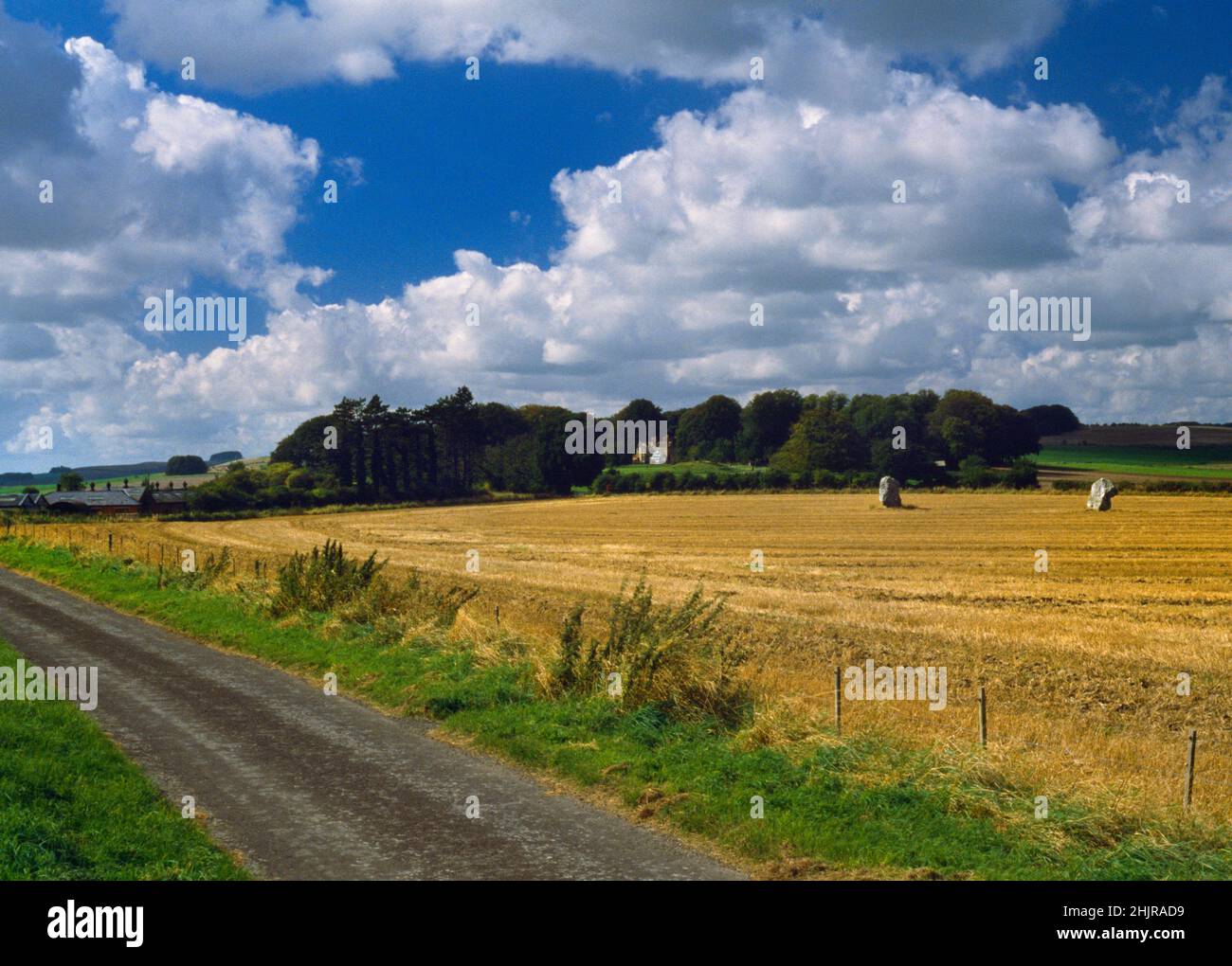 Adam and Eve: view W of the Longstones Neolithic standing stones, Avebury, Wiltshire, England, UK with Adam on the L, Eve to the R. Stock Photo