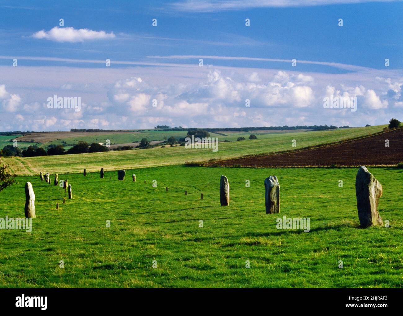 View SSE of the partly reconstructed N stretch of the West Kennet Avenue as it runs downhill away from Avebury Neolithic henge monument, Wiltshire, UK Stock Photo