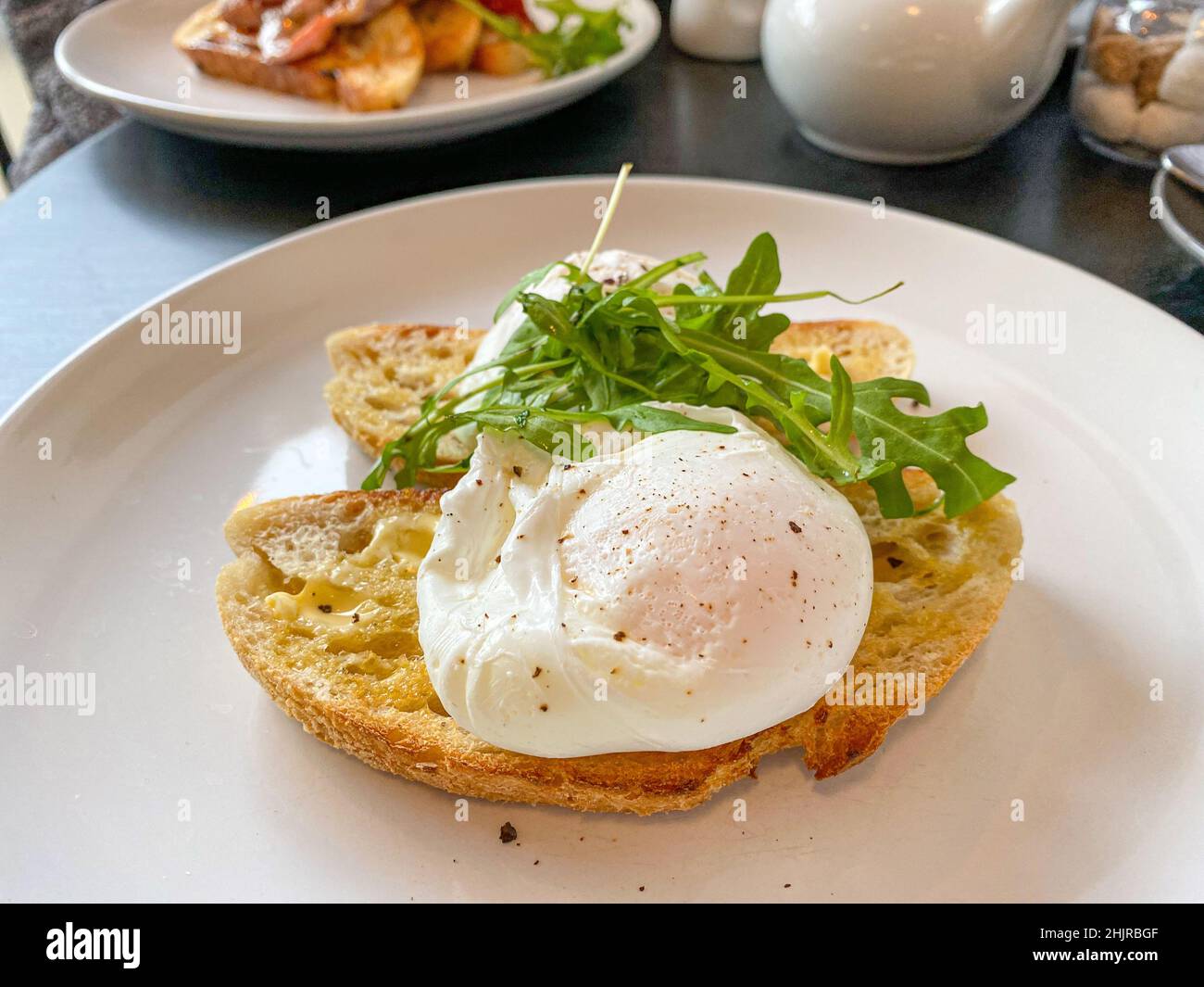 Poached eggs on toasted bread Stock Photo