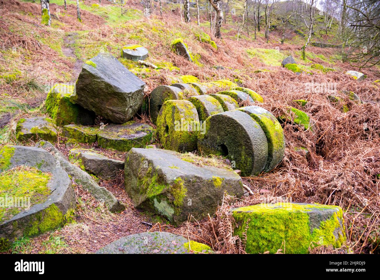 Rows of partly carved, unfinished millstones lie abandoned and overgrown at Bolehill Quarry, Lawrence Field, Peak District, Derbyshire Stock Photo