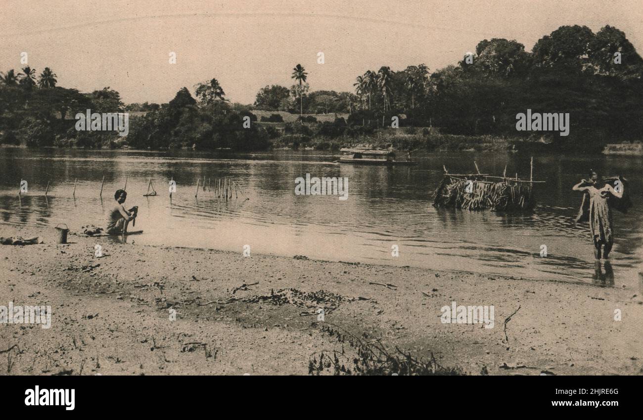 Rush screen to hide Malay ladies while they wash, undeterred by the crocodile. The stakes to the left support a fish trap. Malaysia. Malaya (1923) Stock Photo