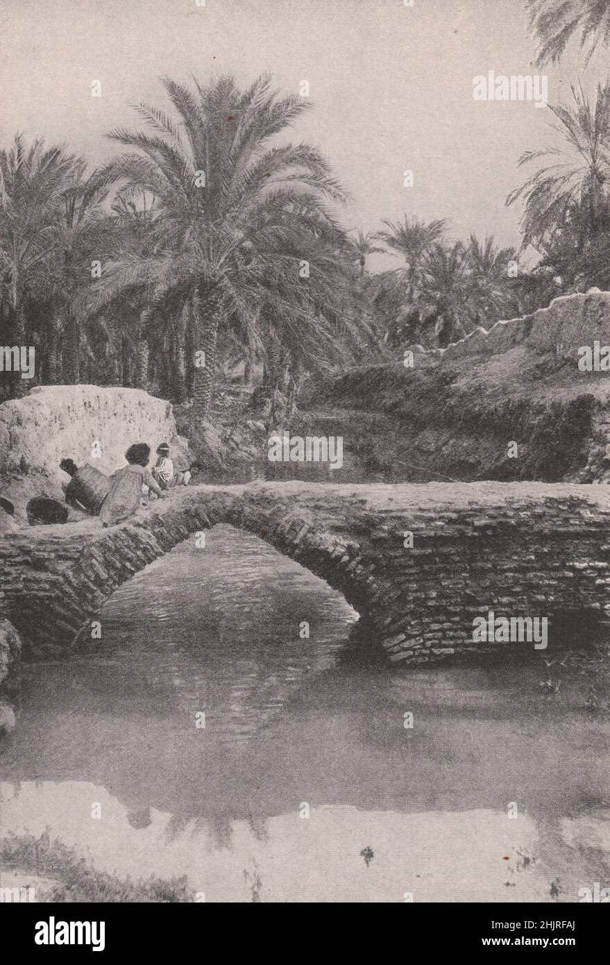 Palm Groves by a creek near the Garden of Eden. Iraq. Mesopotamia  (1923) Stock Photo